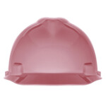 MSA V-Gard Hard Hat w/ Staz-On Suspension