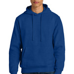 DT6600 V.I.T.  Heavyweight Fleece Hoodie